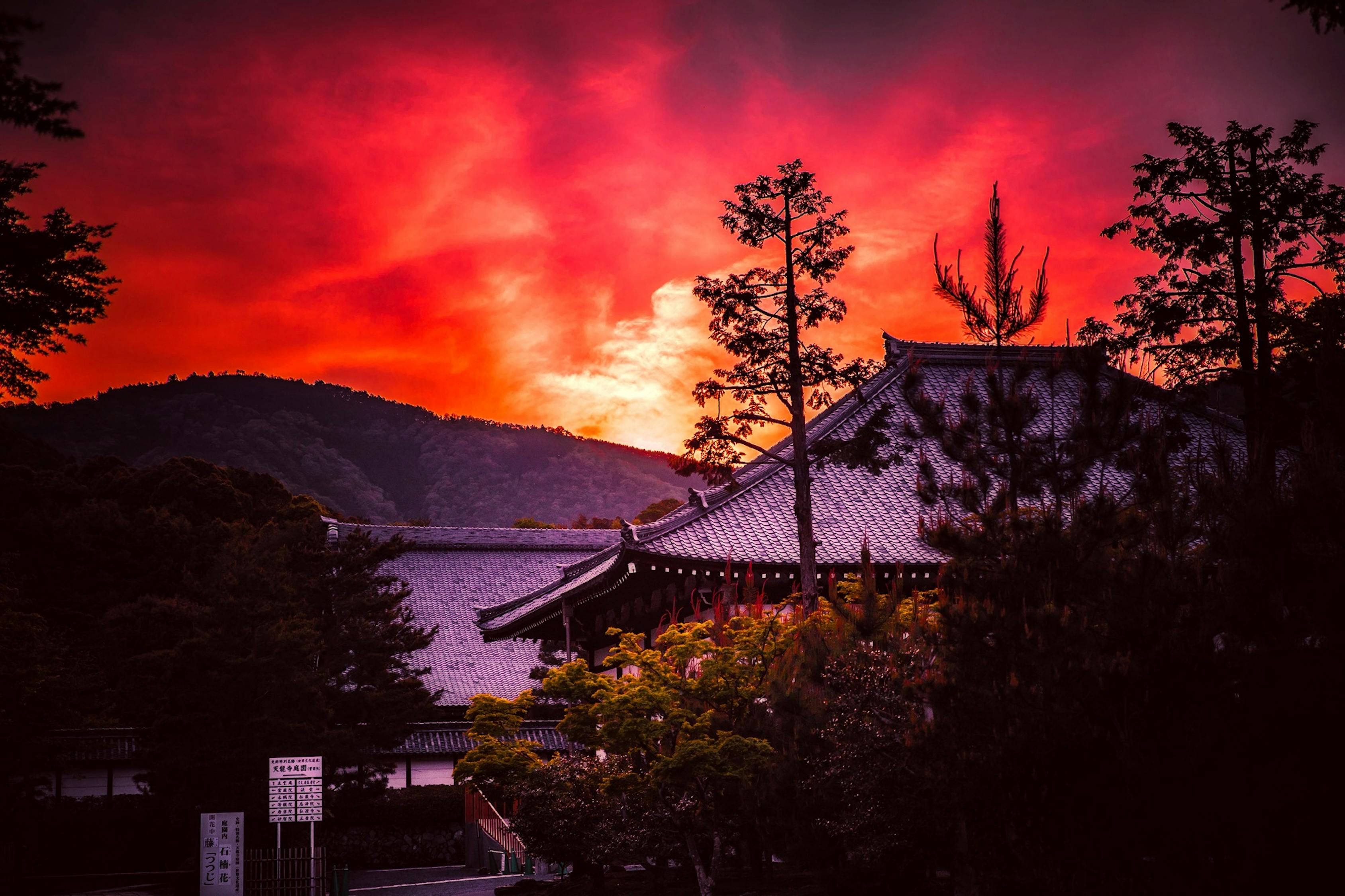 男子梦见寺庙，最新风水学角度的深度解析